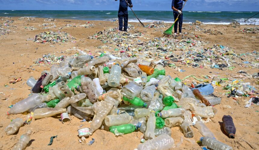 La pollution plastique et chimique a dépassé les « limites » de la planète