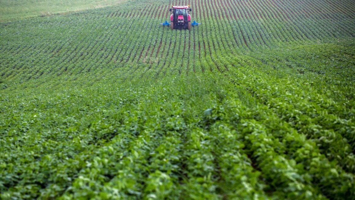 PAC : les principaux points pour verdir l’agriculture de l’UE