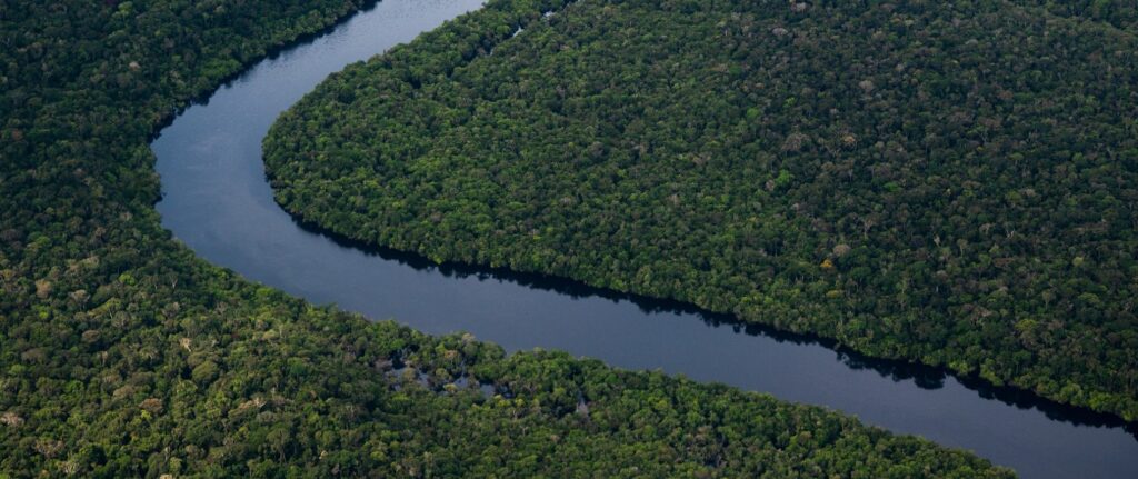 Déforestation : accord inédit de l’UE pour verdir ses importations