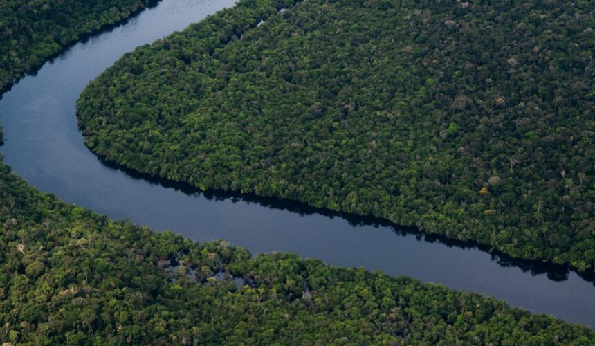 Déforestation: accord inédit de l’UE pour verdir ses importations