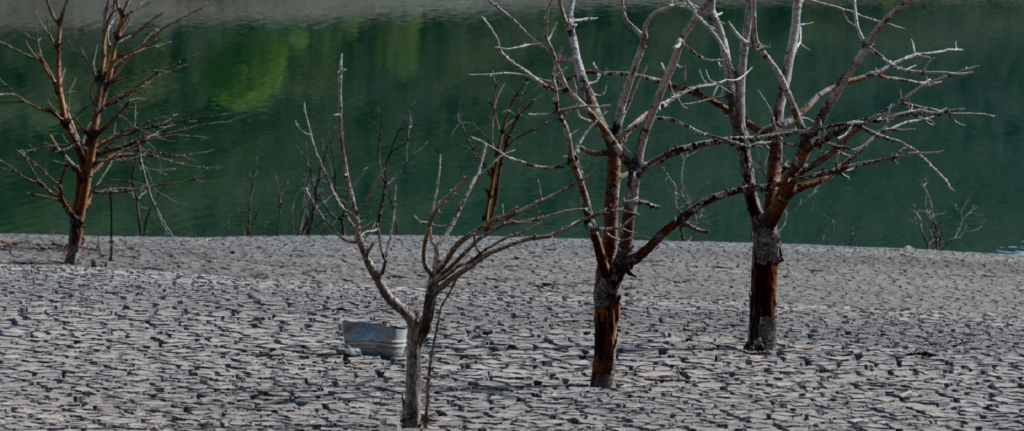 Rivières à sec, chaleur estivale record, incendies: comment le changement climatique a frappé l’Europe en 2022