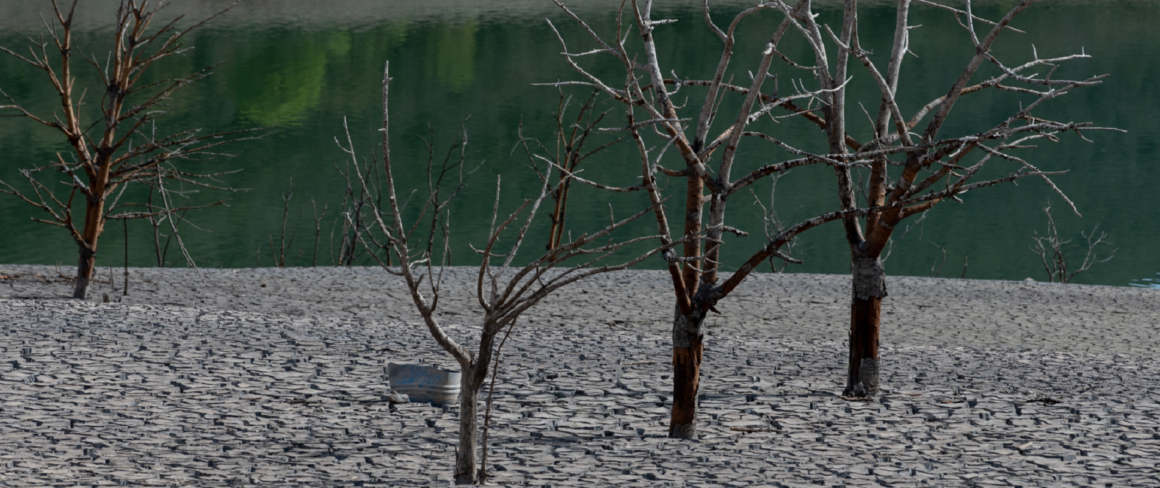 Rivières à sec, chaleur estivale record, incendies: comment le changement climatique a frappé l’Europe en 2022