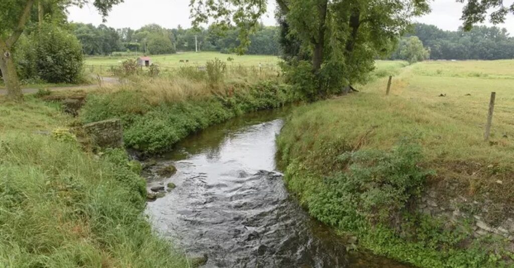 Restauration de la nature : la loi trouve un chemin
