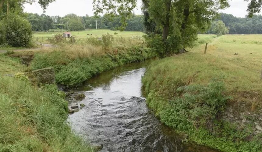 Milieu naturel photo illustration