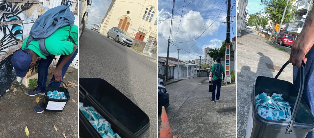 À Pointe-à-Pitre, lutte contre les rats et appel à la vigilance