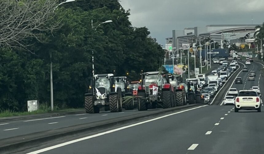 Opération escargot des jeunes agriculteurs le 15 février 2024 à Baie-Mahault et dans l'agglomération centre de Guadeloupe. Photo : DR