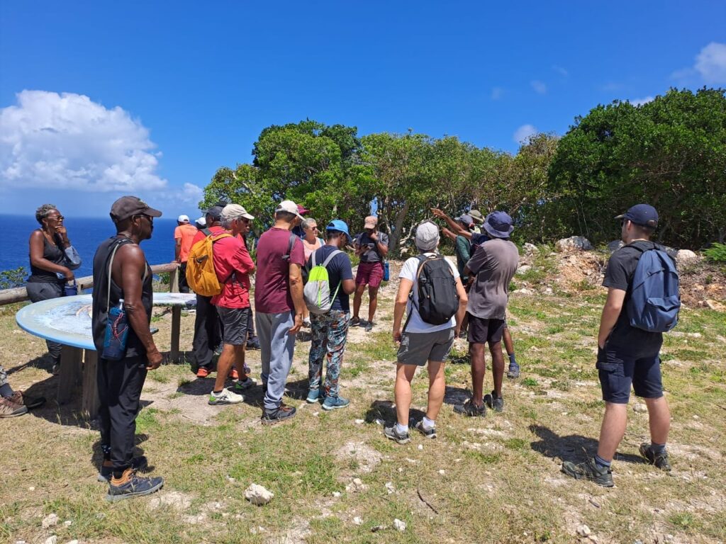 À Anse-Bertrand, regard sur la végétation xérophile pour célébrer les forêts