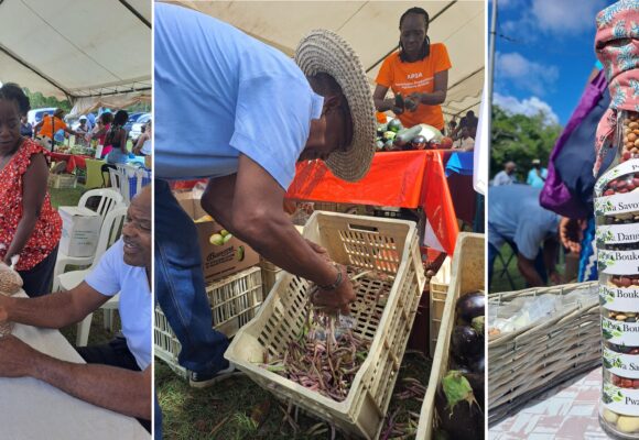 La 6ème édition de la journée des pois organisée dimanche 10 mars 2024 à Anse-Bertrand a été un succès de fréquentation. Photo : FB Anse-Bertrand, l'Authentique