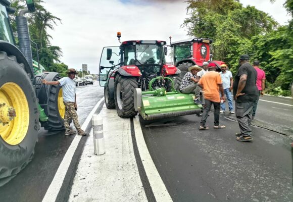 La grogne des planteurs de canne atteint son paroxysme avec le blocage jeudi 25 et vendredi 26 avril 2024 de toutes les entrées de la zone industrielle de Jarry à Baie-Mahault. Photo : Le Courrier de Guadeloupe