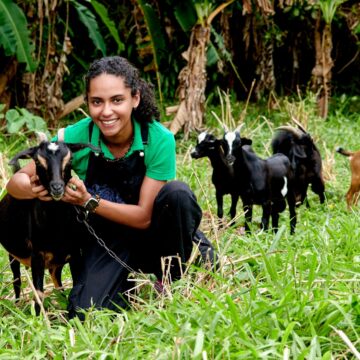 À 23 ans, Nahuel Tournebize, élève ingénieure agronome sous statut d’étudiant entrepreneur, aspire à créer Capr’îles, le premier fromage made in Guadeloupe, grâce au cabri créole.