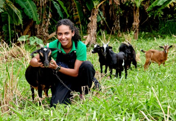 À 23 ans, Nahuel Tournebize, élève ingénieure agronome sous statut d’étudiant entrepreneur, aspire à créer Capr’îles, le premier fromage made in Guadeloupe, grâce au cabri créole.