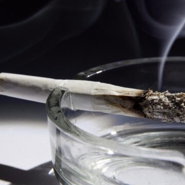 Photo d'illustration usage substance psychoactive cannabis (Photo VSC / Science Photo Library via AFP)