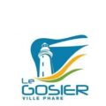 IMEA logo Le Gosier Guadeloupe