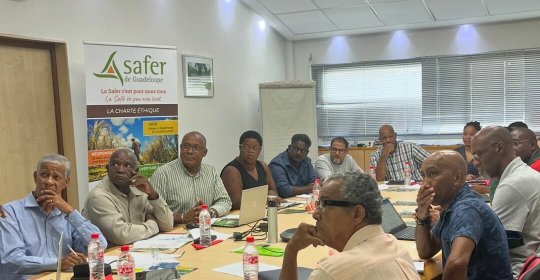 Comité technique Safer qui statue sur l’attribution des terrains agricoles, ici réunion de juin 2024. Photo : Safer Guadeloupe