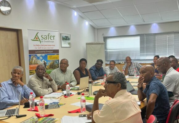 Comité technique Safer qui statue sur l’attribution des terrains agricoles, ici réunion de juin 2024. Photo : Safer Guadeloupe