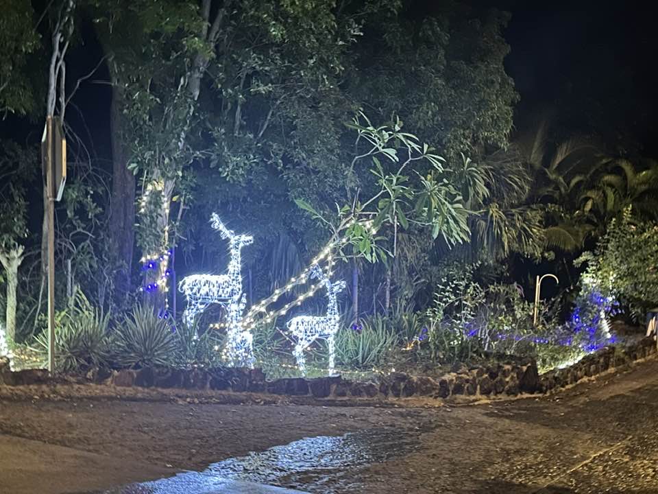 À la Désirade, la magie de Noël s’illumine et chaque recoin du bourg brille