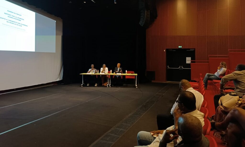 Le Ceser rend sa copie sur l’engagement des jeunes
