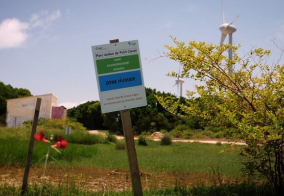 Le parc éolien d'EDF Rénouvelables à Petit Canal est implanté dans la réserve biologique dirigée nord Grande Terre.