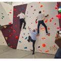 Ce mercredi 9 juillet 2025, de gauche à droite, le recteur Gabriele Fioni, le préfet Xavier Lefort, le président de Région Ary Chalus, se prêtent à tester le mur d’escalade d’un des gymnases inaugurés au sein du lycée Baimbridge. Photo : capture écran vidéo Région Guadeloupe.