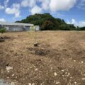 Les cinq arbres fruitiers symboliques plantés à Petit-Pérou aux Abymes, première étape d'un projet à 1,7 million d'euros dont l'utilité publique vise des impacts concrets sur la l’urbanisme et le vivre-ensemble. Photo : Cap excellence
