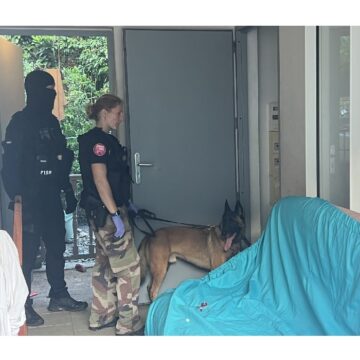 Opération de la brigade de répression des armes et de lutte contre le crime organisé (Braco) : le maître-chien de la brigade cynophile participe aux perquisitions chez les suspects de vols à main armée. Photo : Gendarmerie de Guadeloupe Opération de la brigade de répression des armes et de lutte contre le crime organisé (Braco) : le maître-chien de la brigade cynophile participe aux perquisitions chez les suspects de vols à main armée. Photo : Gendarmerie de Guadeloupe