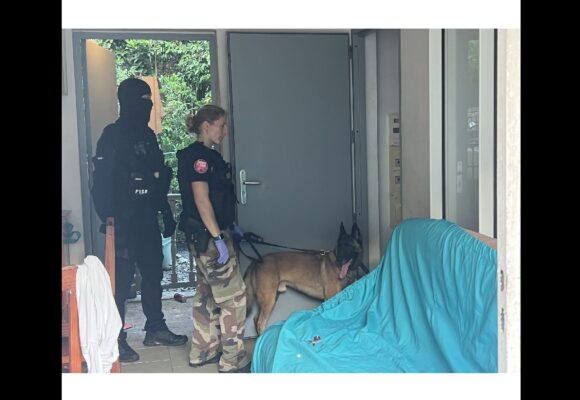 Opération de la brigade de répression des armes et de lutte contre le crime organisé (Braco) : le maître-chien de la brigade cynophile participe aux perquisitions chez les suspects de vols à main armée. Photo : Gendarmerie de Guadeloupe Opération de la brigade de répression des armes et de lutte contre le crime organisé (Braco) : le maître-chien de la brigade cynophile participe aux perquisitions chez les suspects de vols à main armée. Photo : Gendarmerie de Guadeloupe