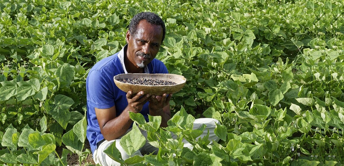 Dr Henry Joseph, Dr en pharmacognosie, directeur de Phytobokaz. Photo : Henry Joseph Dr Henry Joseph, Dr en pharmacognosie, directeur de Phytobokaz. Photo : Henry Joseph