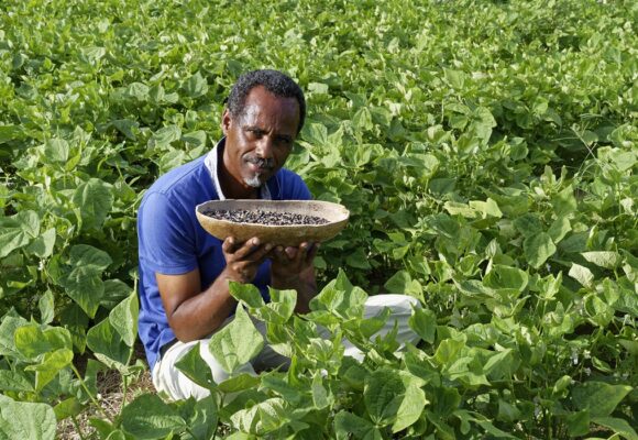 Dr Henry Joseph, Dr en pharmacognosie, directeur de Phytobokaz. Photo : Henry Joseph Dr Henry Joseph, Dr en pharmacognosie, directeur de Phytobokaz. Photo : Henry Joseph