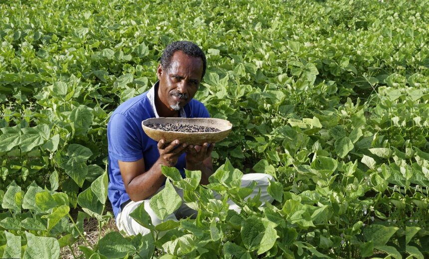 Dr Henry Joseph, Dr en pharmacognosie, directeur de Phytobokaz. Photo : Henry Joseph Dr Henry Joseph, Dr en pharmacognosie, directeur de Phytobokaz. Photo : Henry Joseph