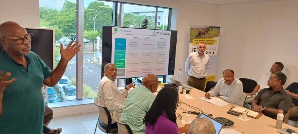 Réunion de présentation des recommandations de l’étude sur la réorganisation de la filière canne au CTIG à Dothémare aux Abymes le 11 février 2026. Photo : DR