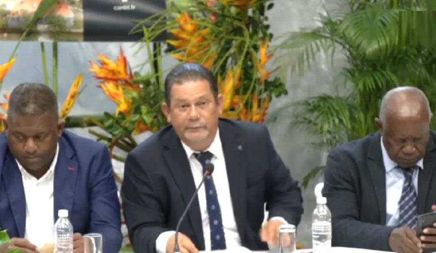 Capture écran du conseil communautaire d’installation à l’agglomération du Nord Basse-Terre, mercredi 1 avril 2026.