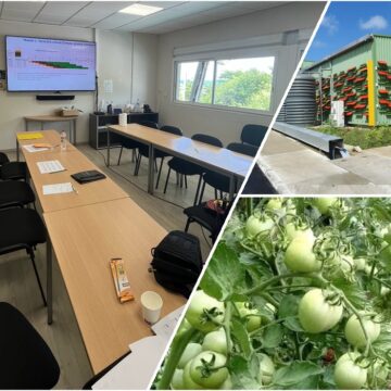 Photomontage : à gauche la salle de l’atelier « de la parcelle à Lizin Santral » le 13 avril 2026 au Moule ; en haut à droite l’extérieur de l’usine agroalimentaire Lizin santral. Photo : LCG DR