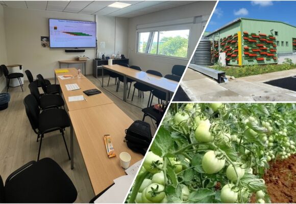 Photomontage : à gauche la salle de l’atelier « de la parcelle à Lizin Santral » le 13 avril 2026 au Moule ; en haut à droite l’extérieur de l’usine agroalimentaire Lizin santral. Photo : LCG DR