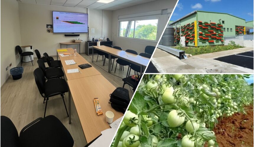 Photomontage : à gauche la salle de l’atelier « de la parcelle à Lizin Santral » le 13 avril 2026 au Moule ; en haut à droite l’extérieur de l’usine agroalimentaire Lizin santral. Photo : LCG DR