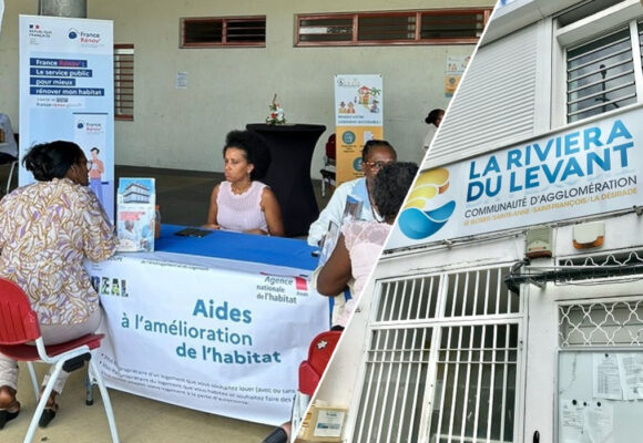 Photomontage information sur l'habitat en Guadeloupe. Crédit : LCG DR