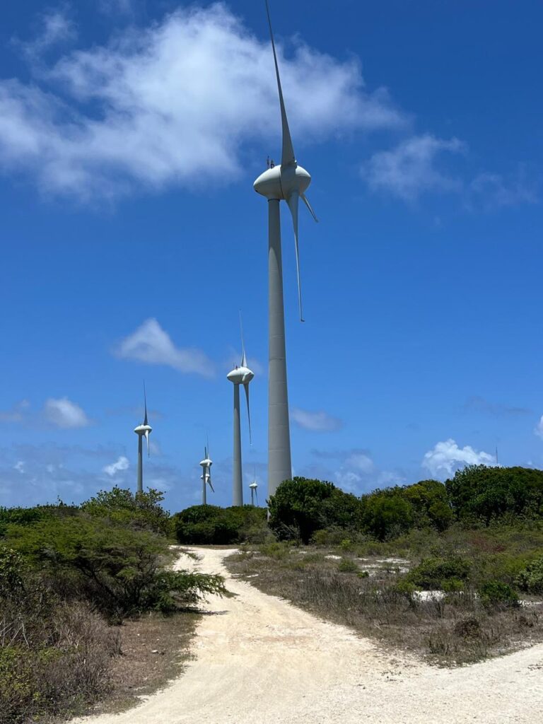Initié en 2010, le projet de la centrale éolienne de Dadoud a été pensé comme un fer de lance de la transition énergétique en Outre-mer. Une demi-douzaine d'éoliennes y tournent déjà. Photo : LCG