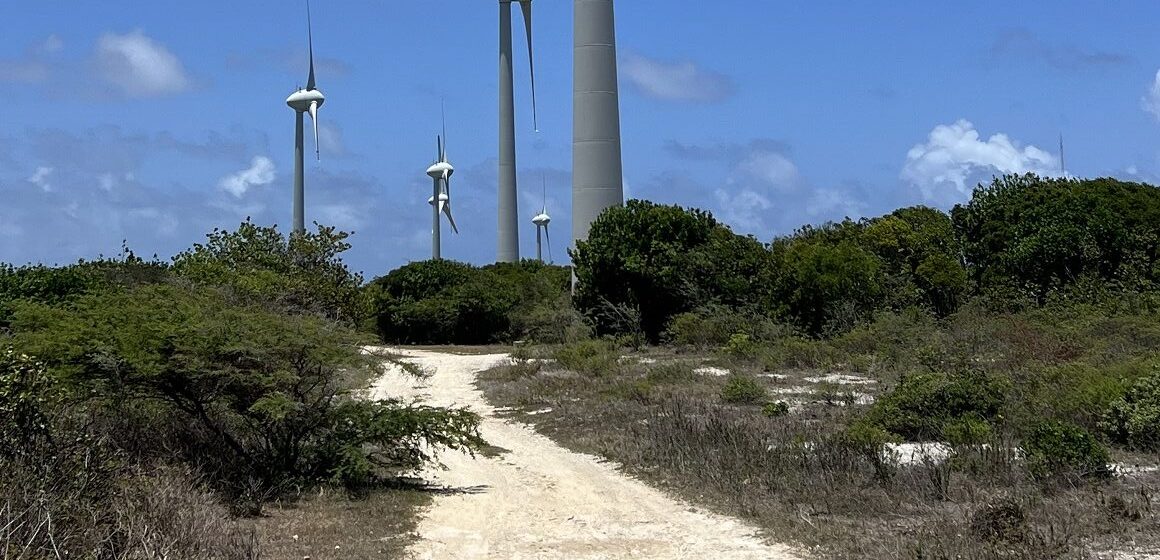 Initié en 2010, le projet de la centrale éolienne de Dadoud a été pensé comme un fer de lance de la transition énergétique en Outre-mer. Une demi-douzaine d'éoliennes y tournent déjà. Photo : LCG