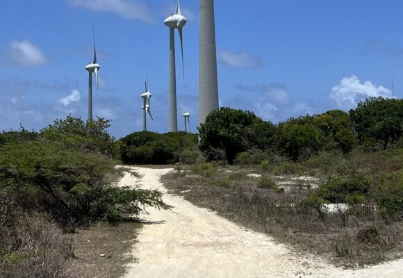 Initié en 2010, le projet de la centrale éolienne de Dadoud a été pensé comme un fer de lance de la transition énergétique en Outre-mer. Une demi-douzaine d'éoliennes y tournent déjà. Photo : LCG