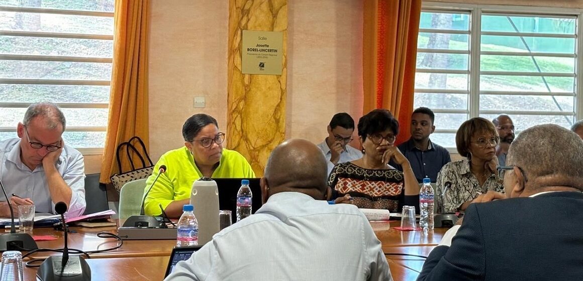 Sylvie Gustave dit Duflo, vice-présidente de la Région Guadeloupe en charge de l’environnement, préside en 2024 le comité de pilotage pour la construction de deux unités de traitement et de valorisation des déchets. Un projet de plus de 220 M€ pour réduire l’enfouissement et viser le zéro déchet en 2035. Photo : Sylvie Gustave-dit-Duflo Sylvie Gustave dit Duflo, vice-présidente de la Région Guadeloupe en charge de l’environnement, préside en 2024 le comité de pilotage pour la construction de deux unités de traitement et de valorisation des déchets. Un projet de plus de 220 M€ pour réduire l’enfouissement et viser le zéro déchet en 2035. Photo : Sylvie Gustave-dit-Duflo