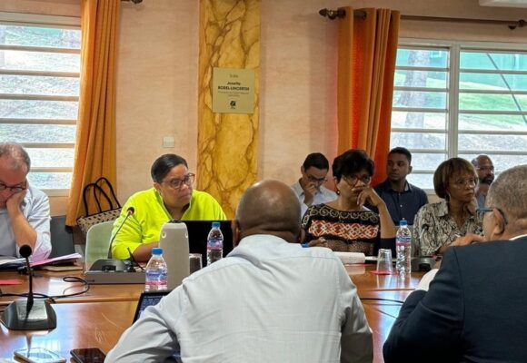 Sylvie Gustave dit Duflo, vice-présidente de la Région Guadeloupe en charge de l’environnement, préside en 2024 le comité de pilotage pour la construction de deux unités de traitement et de valorisation des déchets. Un projet de plus de 220 M€ pour réduire l’enfouissement et viser le zéro déchet en 2035. Photo : Sylvie Gustave-dit-Duflo Sylvie Gustave dit Duflo, vice-présidente de la Région Guadeloupe en charge de l’environnement, préside en 2024 le comité de pilotage pour la construction de deux unités de traitement et de valorisation des déchets. Un projet de plus de 220 M€ pour réduire l’enfouissement et viser le zéro déchet en 2035. Photo : Sylvie Gustave-dit-Duflo