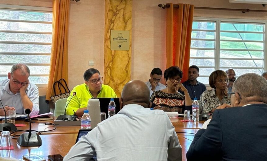 Sylvie Gustave dit Duflo, vice-présidente de la Région Guadeloupe en charge de l’environnement, préside en 2024 le comité de pilotage pour la construction de deux unités de traitement et de valorisation des déchets. Un projet de plus de 220 M€ pour réduire l’enfouissement et viser le zéro déchet en 2035. Photo : Sylvie Gustave-dit-Duflo Sylvie Gustave dit Duflo, vice-présidente de la Région Guadeloupe en charge de l’environnement, préside en 2024 le comité de pilotage pour la construction de deux unités de traitement et de valorisation des déchets. Un projet de plus de 220 M€ pour réduire l’enfouissement et viser le zéro déchet en 2035. Photo : Sylvie Gustave-dit-Duflo
