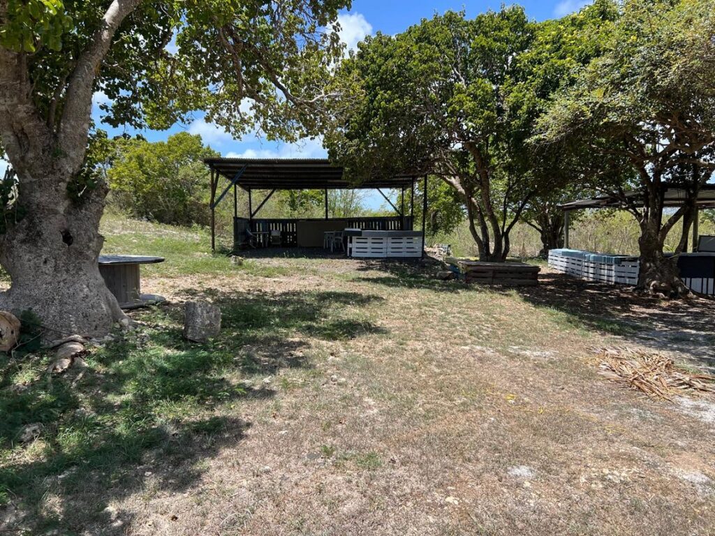 Des baraquements se dressent sur le terrain agricole du Département à Dadoud Petit-Canal. Vides. Pas d'âme qui vive en cette mi-journée de septembre 2026. Photo : LCG